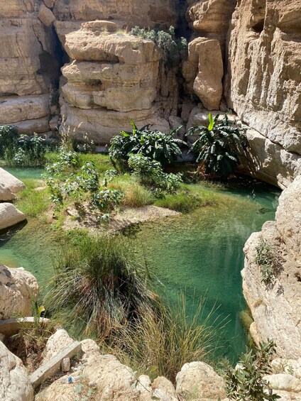 A natural landscape with a clear water body surrounded by rocky terrain and vegetation. 3