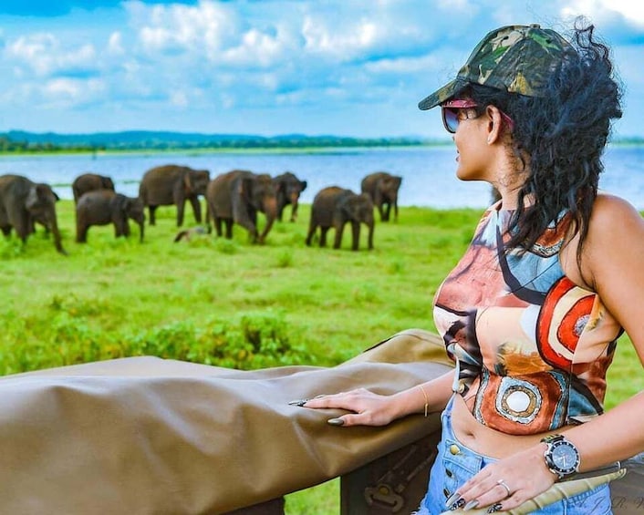 A person observing elephants in a grassy area near a body of water. 1