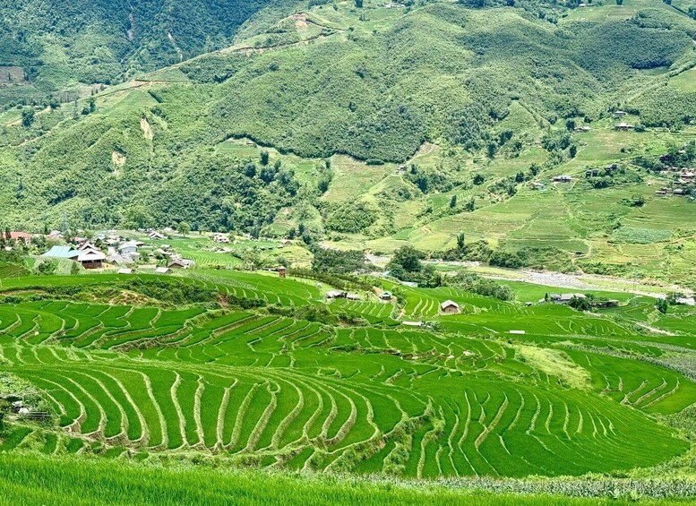 Picture 84 for Activity Sapa: 2 Days Trekking & 1 Night at Authentic Local Homestay 4