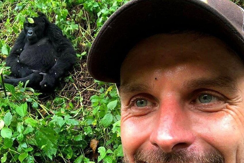 Un gorilla seduto tra la vegetazione verde. 4