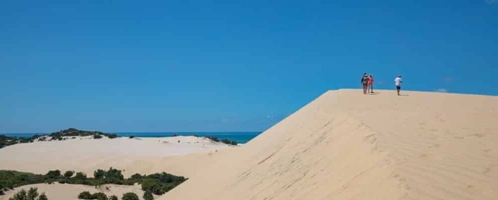 A desert landscape with sand dunes and a clear blue sky. 4