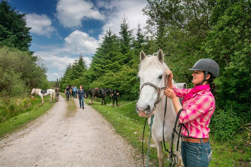 Una persona guiando un caballo blanco por un sendero de tierra rodeado de árboles. 1