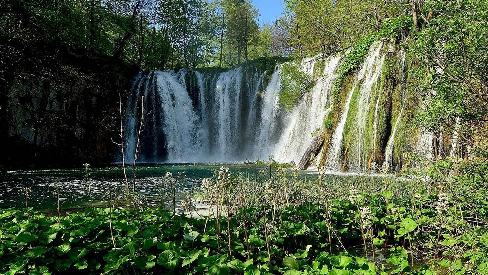 A waterfall surrounded by lush greenery and a calm pond. 2