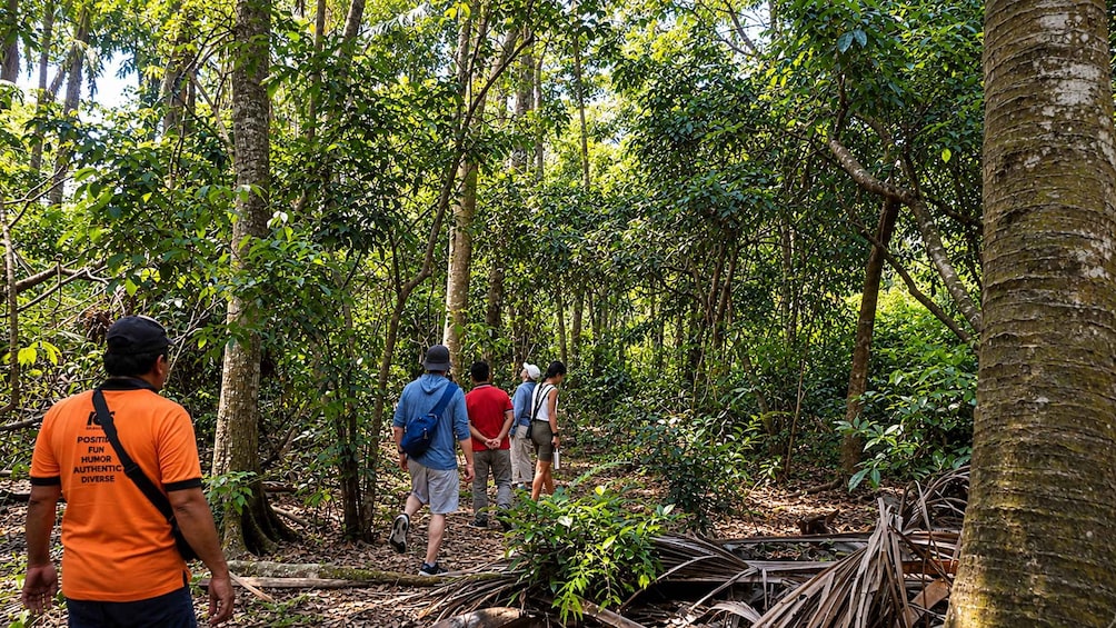 Picture 9 for Activity West Bali: Jungle Trekking in Bali Barat National Park 2