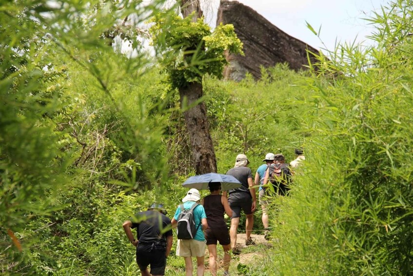 A group of hikers walking on a trail surrounded by lush greenery and a large rock formation. 1