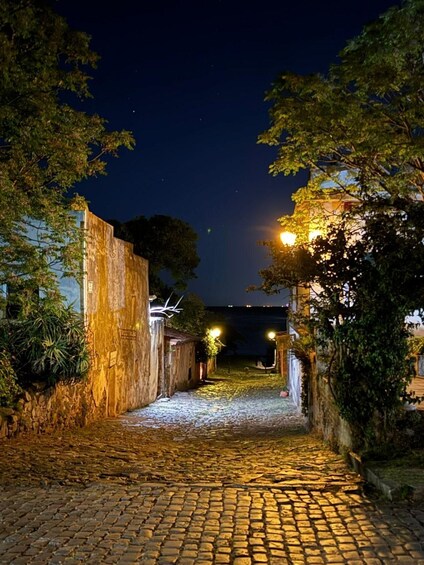 A cobblestone alleyway at night, flanked by trees and buildings, with street lamps illuminating the path. 5