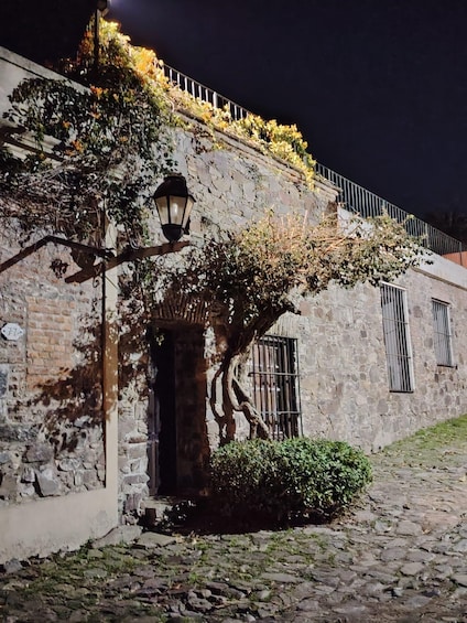 A stone building with ivy, a lantern, and a cobblestone path. 2