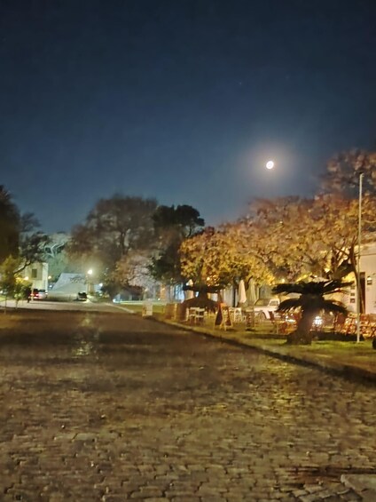 A nighttime street scene with a paved road, trees, and a visible moon. 4