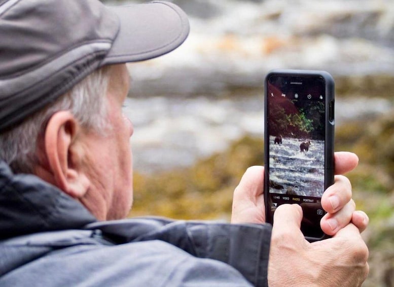 A person holding a smartphone, taking a photo of a bear in a natural setting. 2