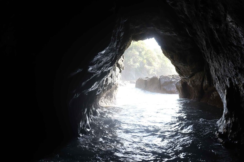 Picture 8 for Activity Super Fun Boat Adventure 5 hours Gulf of Papagayo Costa Rica 4
