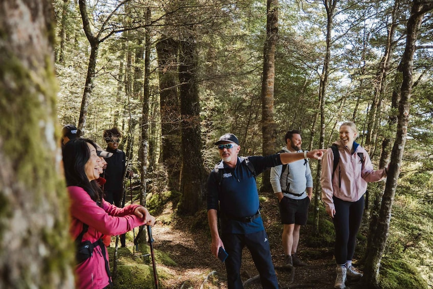 A group of people hiking in a forest. 1