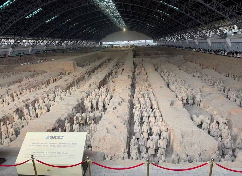 Picture 6 for Activity Xi’an Terracotta Warriors Tour with Private Transfer 2