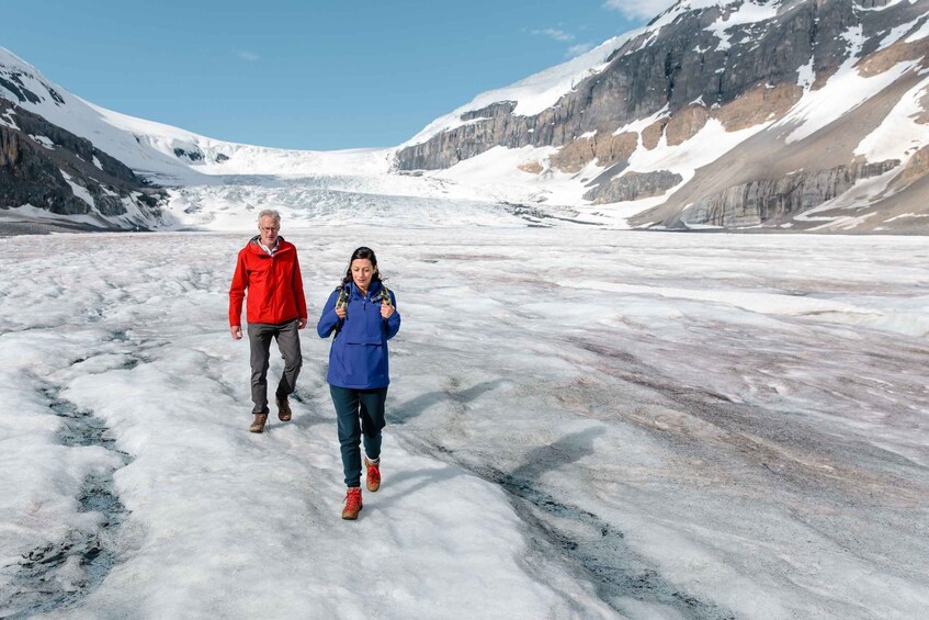 Picture 13 for Activity Calgary: Icefield Adventure, Skywalk and three Glaciers Tour 4