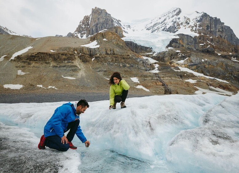 Picture 14 for Activity Calgary: Icefield Adventure, Skywalk and three Glaciers Tour 3
