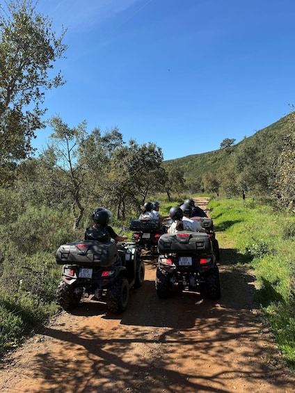 Picture 1 for Activity Quad bike tour in São Brás de Alportel 2