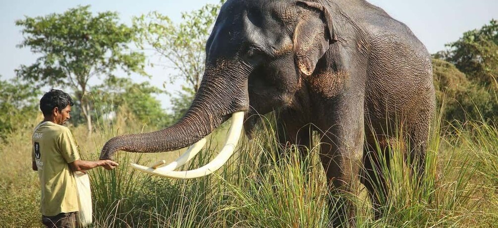 Picture 1 for Activity From Delhi: Taj Mahal & Agra Tour with Elephant Wildlife SOS 3