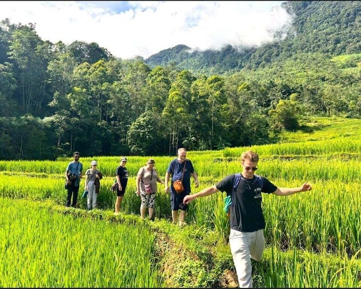 Picture 34 for Activity Hanoi or Ninh Binh:Pu Luong 2-Day Trekking & Eco-Resort Stay 5