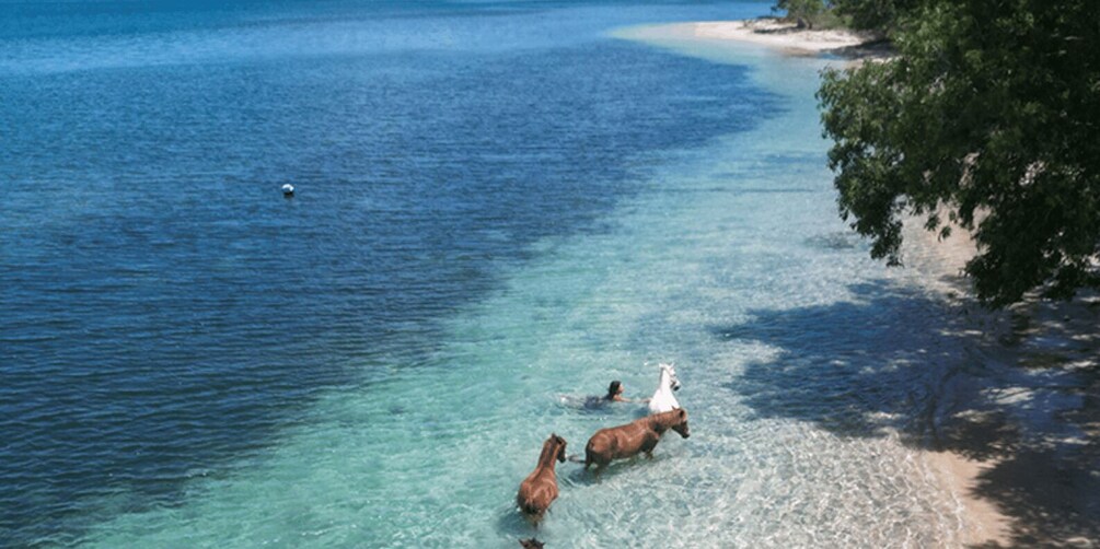 Picture 6 for Activity Lombok: exclusive 7 Gilis snorkeling and island hopping 2