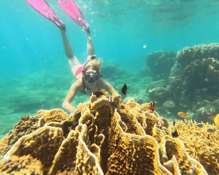 Picture 5 for Activity Lombok: exclusive 7 Gilis snorkeling and island hopping 5