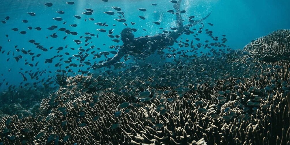 Picture 3 for Activity Lombok: exclusive 7 Gilis snorkeling and island hopping 3
