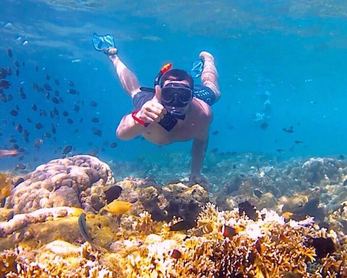 Picture 8 for Activity Lombok: exclusive 7 Gilis snorkeling and island hopping 4