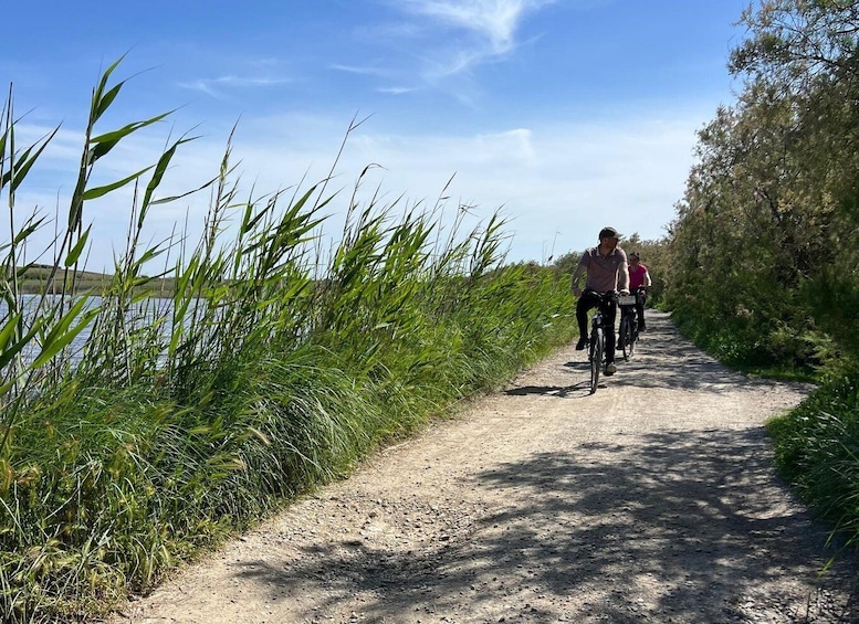 Picture 8 for Activity Montpellier: Guided Tour of Petite Camargue - Camin de Fe by electric bike 3