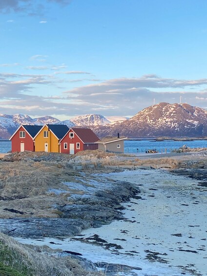 Picture 6 for Activity Tromsø: Midnight Sun Tour to the Magical Sommarøy with Meal 3