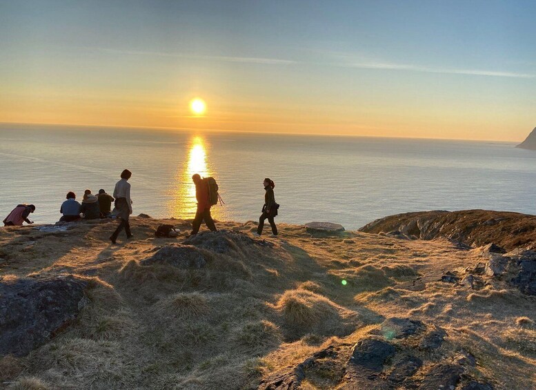 Tromsø: Midnight Sun Tour to the Magical Sommarøy with Meal 1