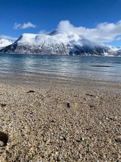 Picture 2 for Activity Tromsø: Midnight Sun Tour to the Magical Sommarøy with Meal 5