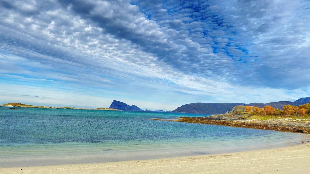 Picture 7 for Activity Tromsø: Midnight Sun Tour to the Magical Sommarøy with Meal 4