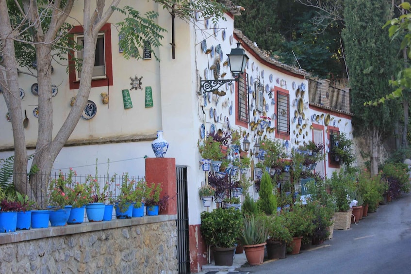 Picture 9 for Activity From Nerja/Almunecar: Granada Full-Day Trip 4