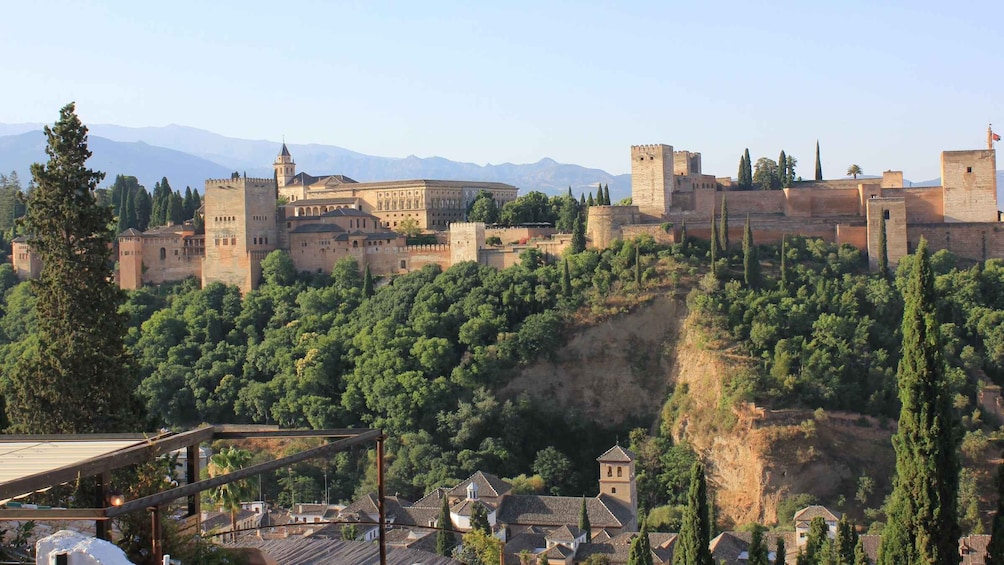 Picture 8 for Activity From Nerja/Almunecar: Granada Full-Day Trip 5