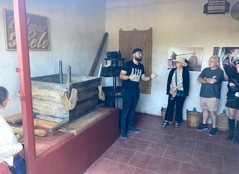A group of people in a rustic setting with a wooden press and a sign that reads "Sugar Cane Field". 5