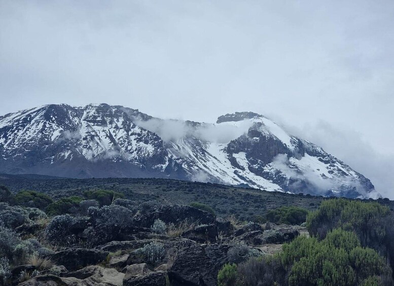 A snow-capped mountain with a rocky foreground and some greenery. 1
