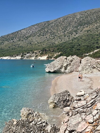 Picture 28 for Activity Sarandë: Kroreza Turtle Cave & Hidden Beaches Speedboat Tour 3