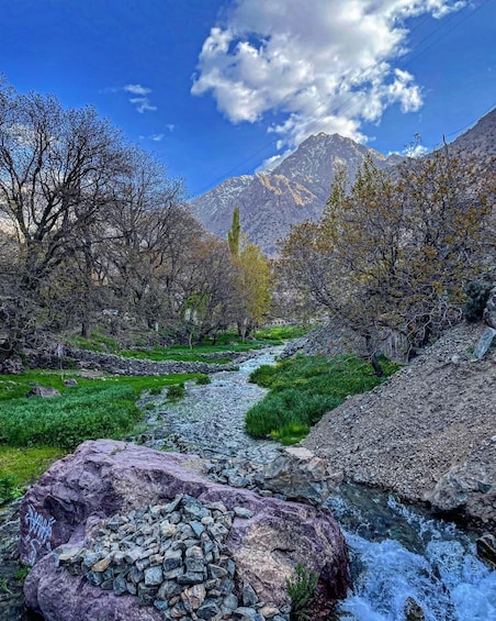 A mountain stream flowing through a valley with trees and a rocky terrain. 5