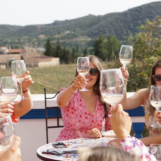 A group of people toasting with wine glasses at a round table outdoors with a scenic view of hills in the background. 4