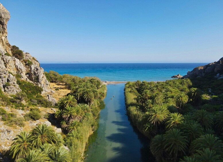 A coastal landscape with a narrow water channel flanked by dense palm trees and rocky cliffs. 1