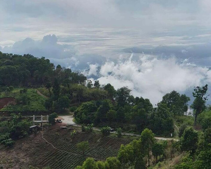 Picture 7 for Activity Chiang Rai: White Temple, Doi Chang, & Hot Springs Tour 2