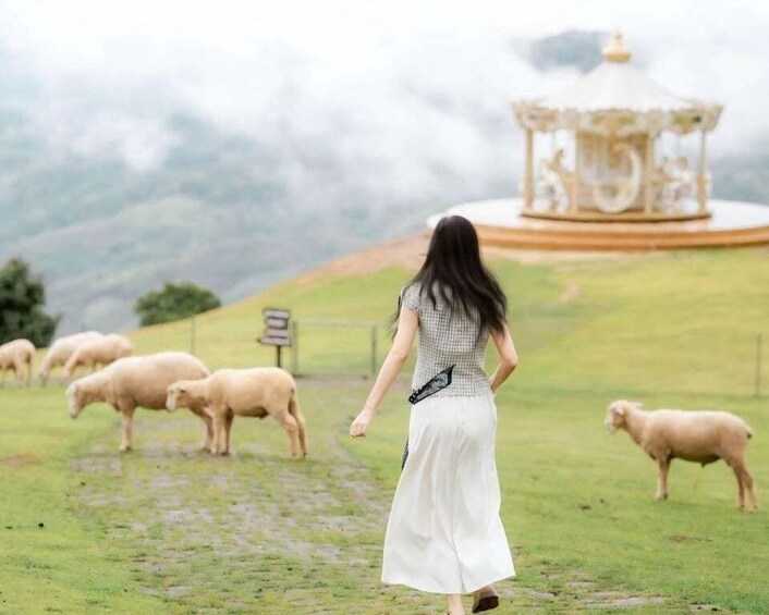 Chiang Rai: White Temple, Doi Chang, & Hot Springs Tour 3
