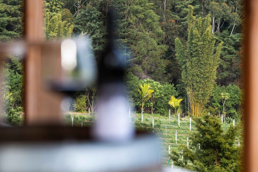 A forested landscape with a fence and a clear sky. 4