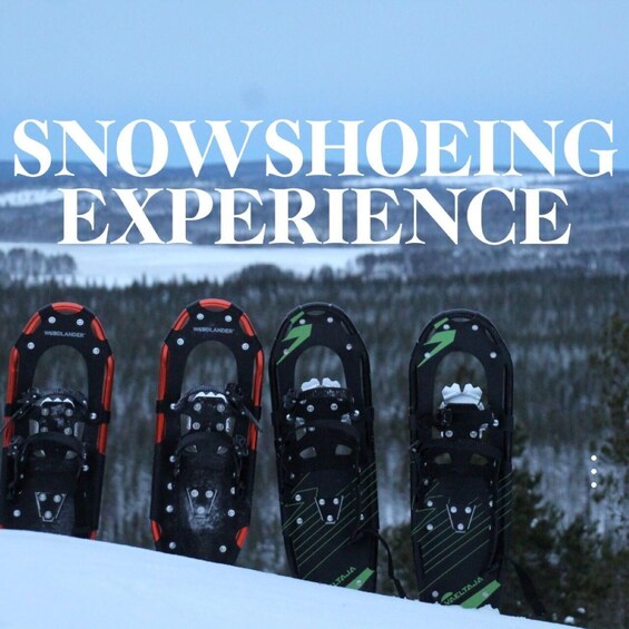 Snowshoes lined up on a snowy slope with a forest in the background and the text "SNOWSHOEING EXPERIENCE" above them. 1