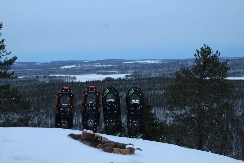 A snowy landscape with four snowshoes lined up on a snow-covered slope, a dog lying in the foreground, and a forested background. 2