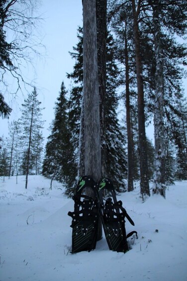 Snowshoes in a snowy forest. 3