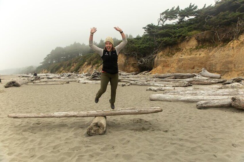 Full-Day Private Tour and Hike in Olympic National Park (West Peninsula)