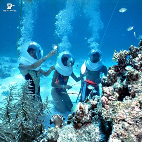 Three divers underwater with scuba gear, surrounded by coral and marine life. 1