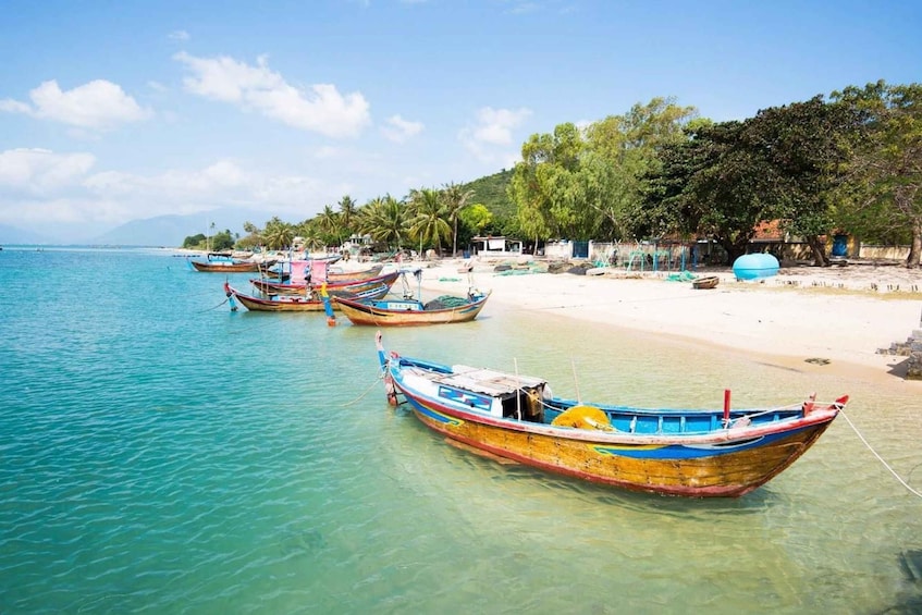 A beach with several colorful boats anchored in shallow water, palm trees, and a clear sky. 4