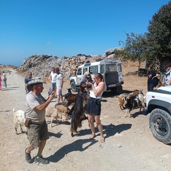 A group of people interacting with goats in a rocky outdoor setting. 5