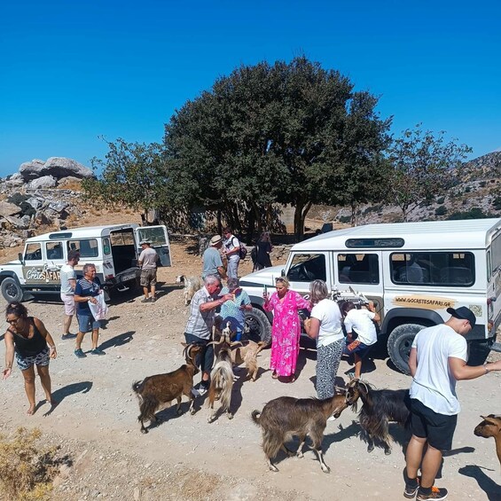 A group of people interacting with goats near a white vehicle with a website URL. 3