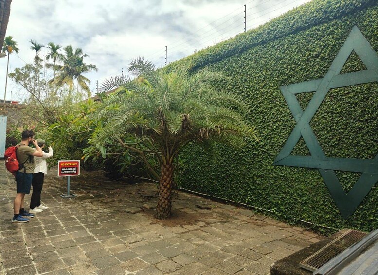 A no entrance sign, a palm tree, and a Star of David on a wall. 3